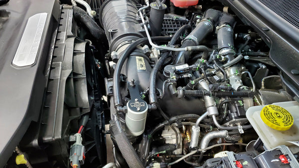 J&L 2025 Ram 1500 3.0 / 2022 - 2025 Jeep Wagoneer 3.0 Separator Black / Clear