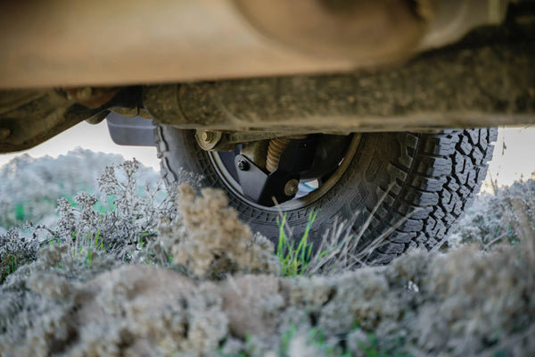 DV8 Offroad 2010-2024 Toyota 4Runner | Rear Shock Skid Plates