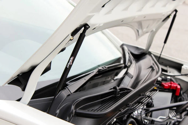 GReddy 2000 - 2009 Honda S2000 AP1/AP2 Engine Hood Lifter Kit (Designed for OEM weight hoods.)