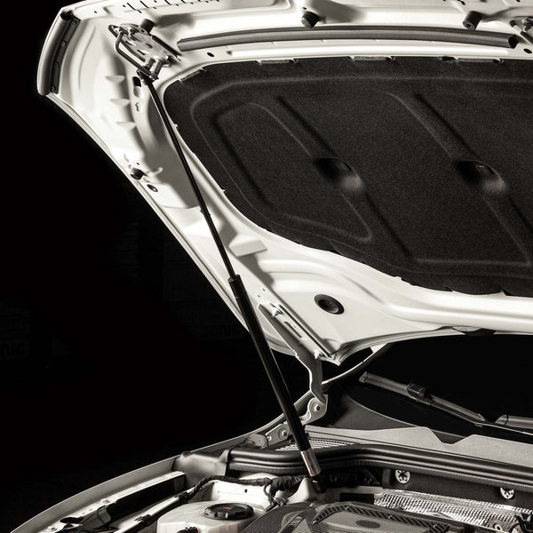 Cobb 2022 + Volkswagen Hood Strut Kit (Mk8) 2022 + GTI / Golf R