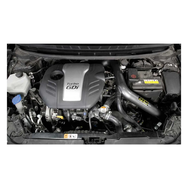 AEM 2014 - 2017  Kia Forte 5 Koup L4-1.6L Cold Air Intake