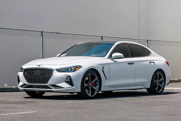 ARk Performance 2019-2024 Genesis G70 GT-F Lowering Springs