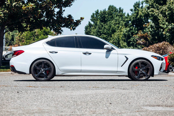 ARk Performance 2019-2024 Genesis G70 GT-F Lowering Springs