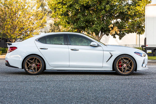 ARk Performance 2019-2025 Genesis G70 GT-S Lowering Springs