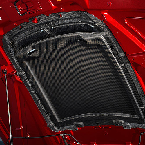 Ford Racing 2020 - 2022 Mustang GT500 Carbon Fiber Hood Vent Kit