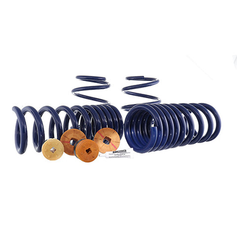 Ford Racing 2015 -2023 Mustang GT and Ecoboost Track Lowering Spring Kit