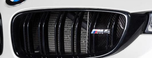 Eventuri BMW F8X M3 / M4 Black Carbon Air Scoop Set