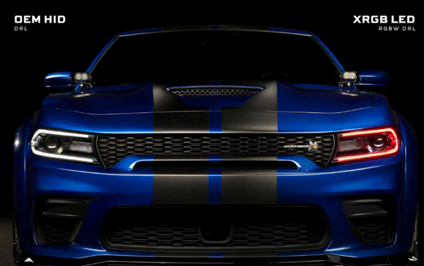 Morimoto Dodge Charger ( 2015 - 2023 ) XRGB LED Headlights
