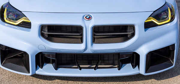 Alpha-N G87 M2 Carbon Front Grille - Gloss