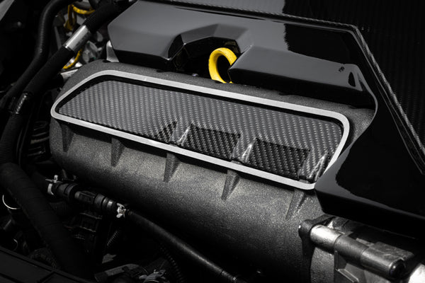 APR 2017 -2024 Audi RS3 / 2012 - 2022 TTRS 2.5T Carbon Fiber Intake Manifold Cover Plate