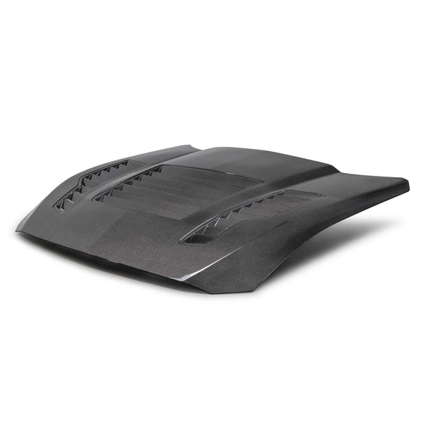 Anderson Composites 2024 + Ford Mustang Type-GT4 Double-Sided Carbon Fiber Hood