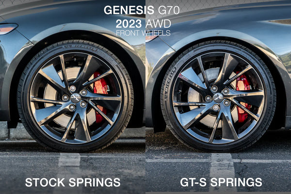 ARk Performance 2019-2025 Genesis G70 GT-S Lowering Springs