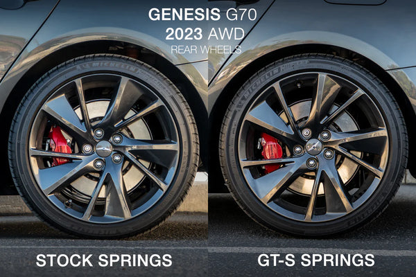 ARk Performance 2019-2025 Genesis G70 GT-S Lowering Springs