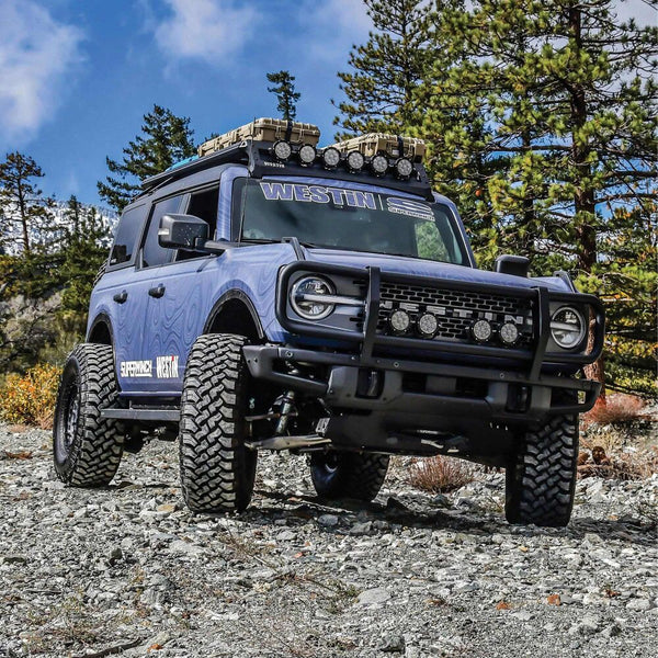 Westin 2021 + Ford Bronco (Excl. Bronco Sport) XTS Front Bumper Brush Guard for OEM Bumper - Tex Black