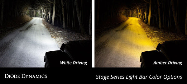 Diode Dynamics Ford F-150 Raptor 2017 - 2020 Stage Series Fog Kit - White Driving
