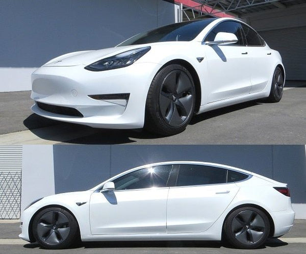RS-R 2017 + Tesla Model 3 (RWD) (ZVW30) Sports-i Coilovers