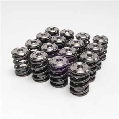 Skunk2 Alpha Series Honda/Acura D Series Valve Spring and Titanium Retainer Kit - GUMOTORSPORT