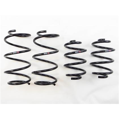 RS-R 2013 - 2019 Nissan Sentra (TB17 (B17)) Down Sus Lowering Springs - GUMOTORSPORT