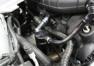 J&L 11-17 Ford Mustang V6 Passenger Side Oil Separator 3.0 - Black Anodized - GUMOTORSPORT