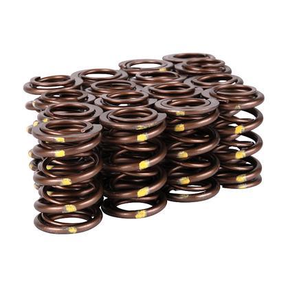 Skunk2 Pro Series Honda/Acura B-Series VTEC XP Valve Spring Set (Dual Springs) - GUMOTORSPORT