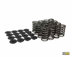 Mountune Ford 2.0L EcoBoost Valve Spring Set (Set of 16)