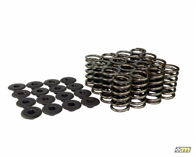 Mountune Ford 1.6L EcoBoost Valve Spring Set (Set of 16)