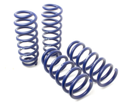 H&R 2020 + Tesla Model Y Performance (AWD) Lift Spring (Non Air Susp.)