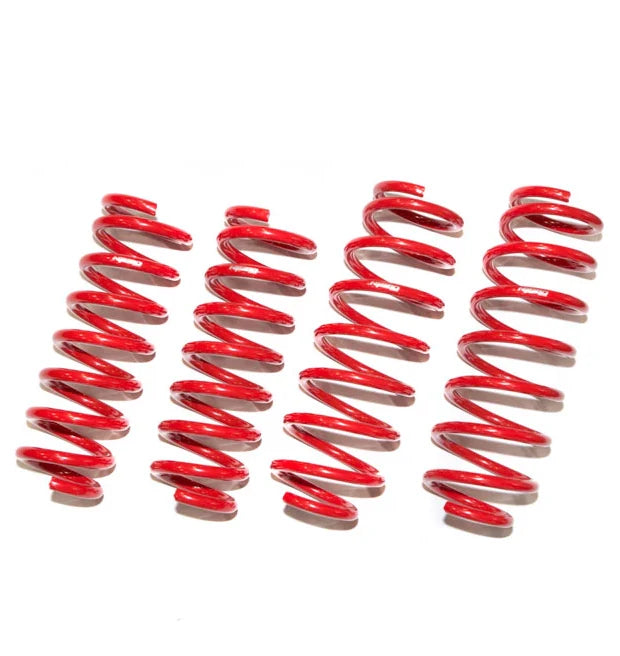 Tanabe NF210 Lowering Springs - 2011-2013 Lexus CT200h (ZWA10L)