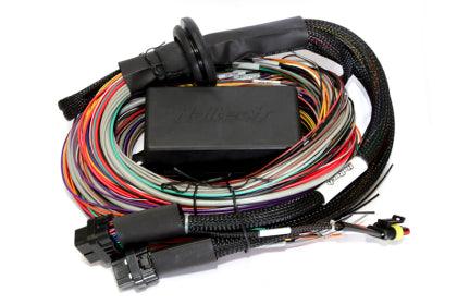 Haltech Elite 2500 & 2500 T 8ft Premium Universal Wire-In Harness - GUMOTORSPORT