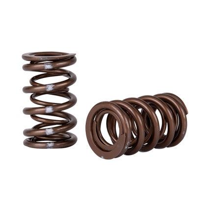 Skunk2 Pro Series Honda/Acura K-Series i-VTEC XP Valve Spring Set (Dual Springs) - GUMOTORSPORT