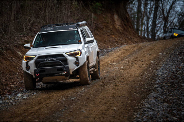Morimoto 4Banger LED Fog Lights : Toyota 4Runner  ( 2014 - 2023 )