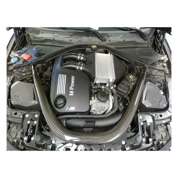 AEM 2015 - 2020 BMW M3 S55 3.0L L6 TT Cold Air Intake System