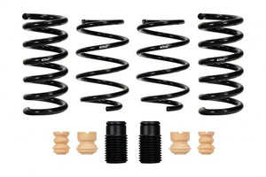 Eibach Pro-Kit for 2015 - 2021 Ford Mustang GT 5.0L V8 - GUMOTORSPORT