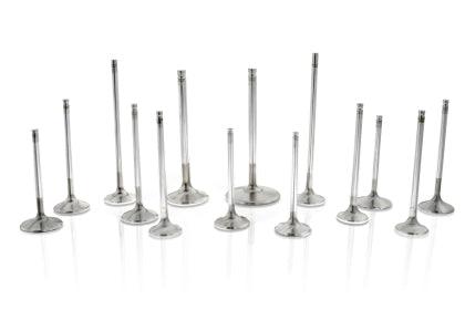 Ferrea Nissan RB26 35.6mm 5.98mm 102.33mm 20 Deg S-Flo Rad Grv +1mm Comp Plus Intake Valve-Set of 12 - GUMOTORSPORT